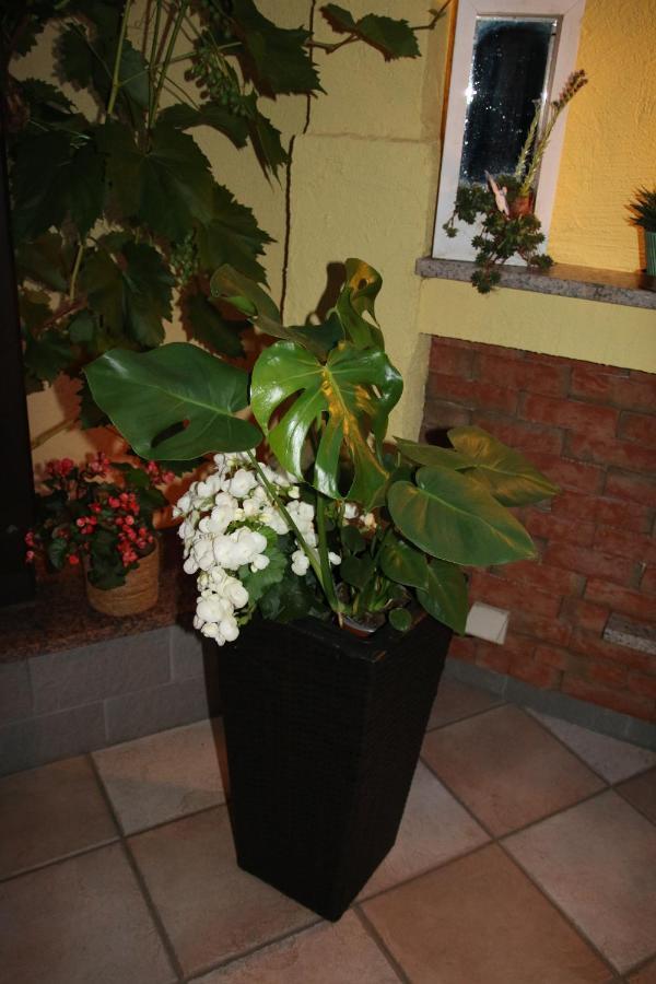Appartement Sto Hannover Luaran gambar